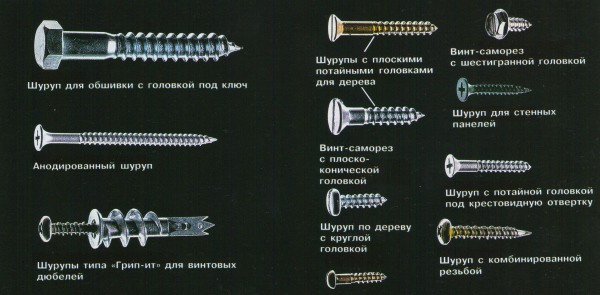 Отличие самореза от шурупа фото